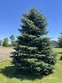 475 Main Street - Photo 65