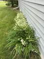 475 Main Street - Photo 69