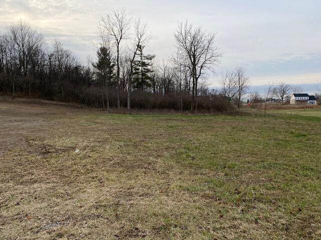 1700 White Pines Drive - Photo 1