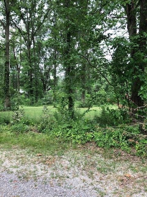 0 Stearns Lane - Photo 1