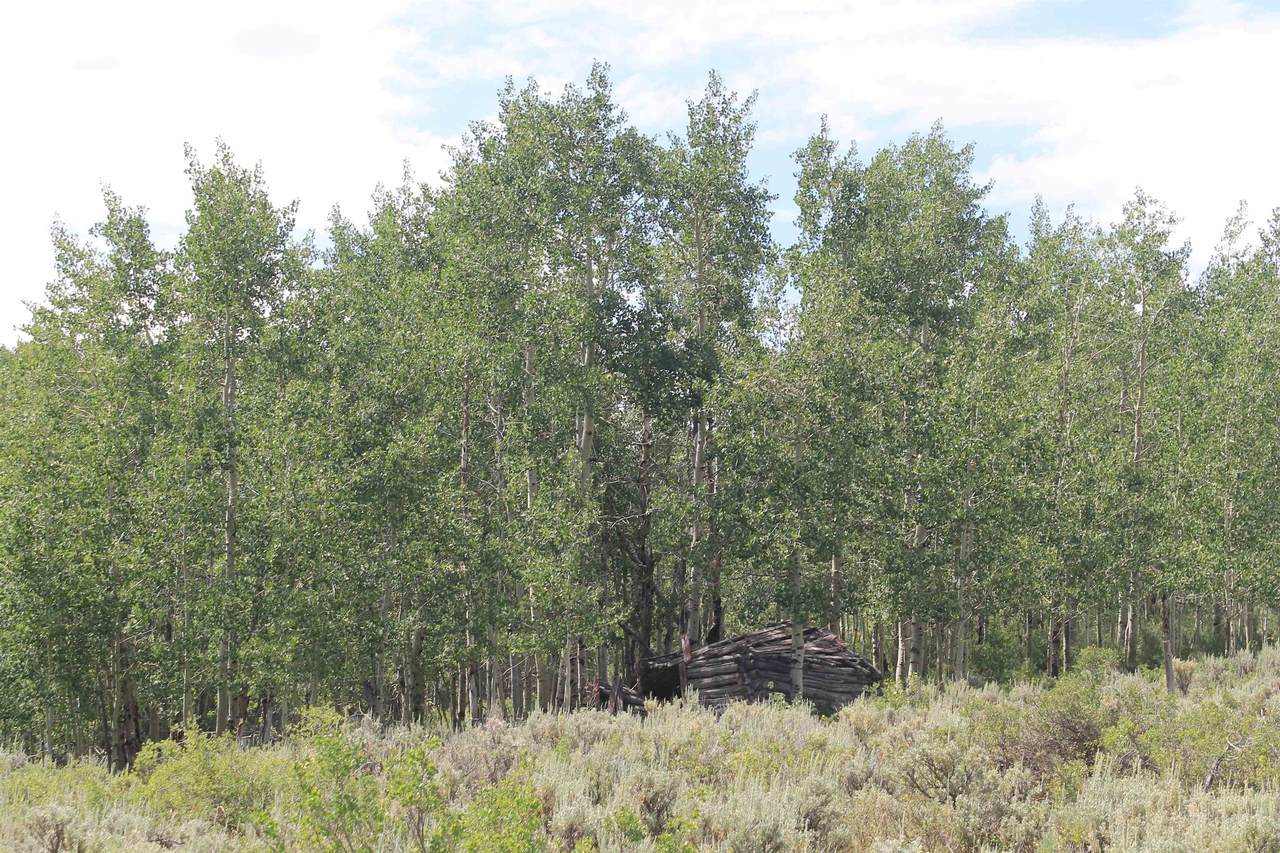 https://bt-photos.global.ssl.fastly.net/wyoming/1280_boomver_1_20210792-2.jpg