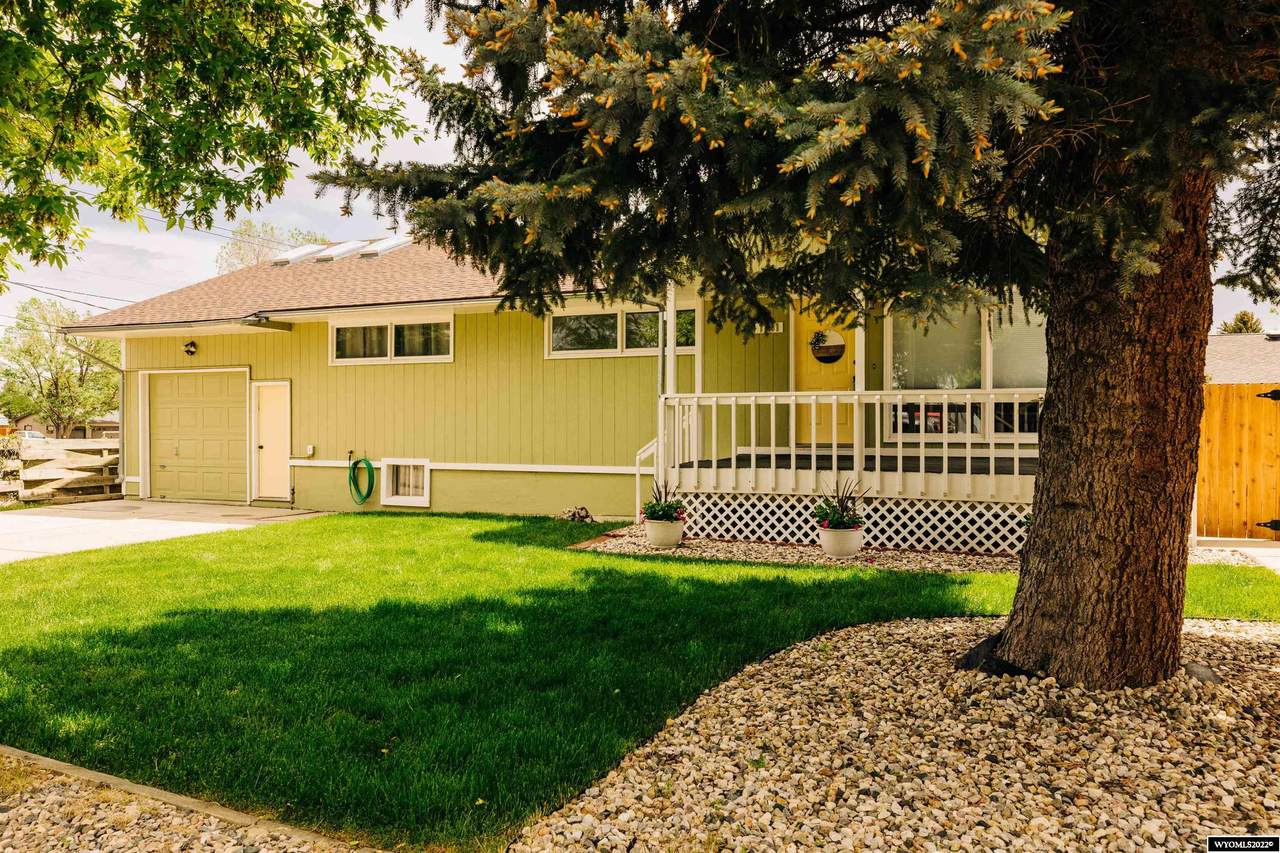 1141 Birch Street - Photo 1