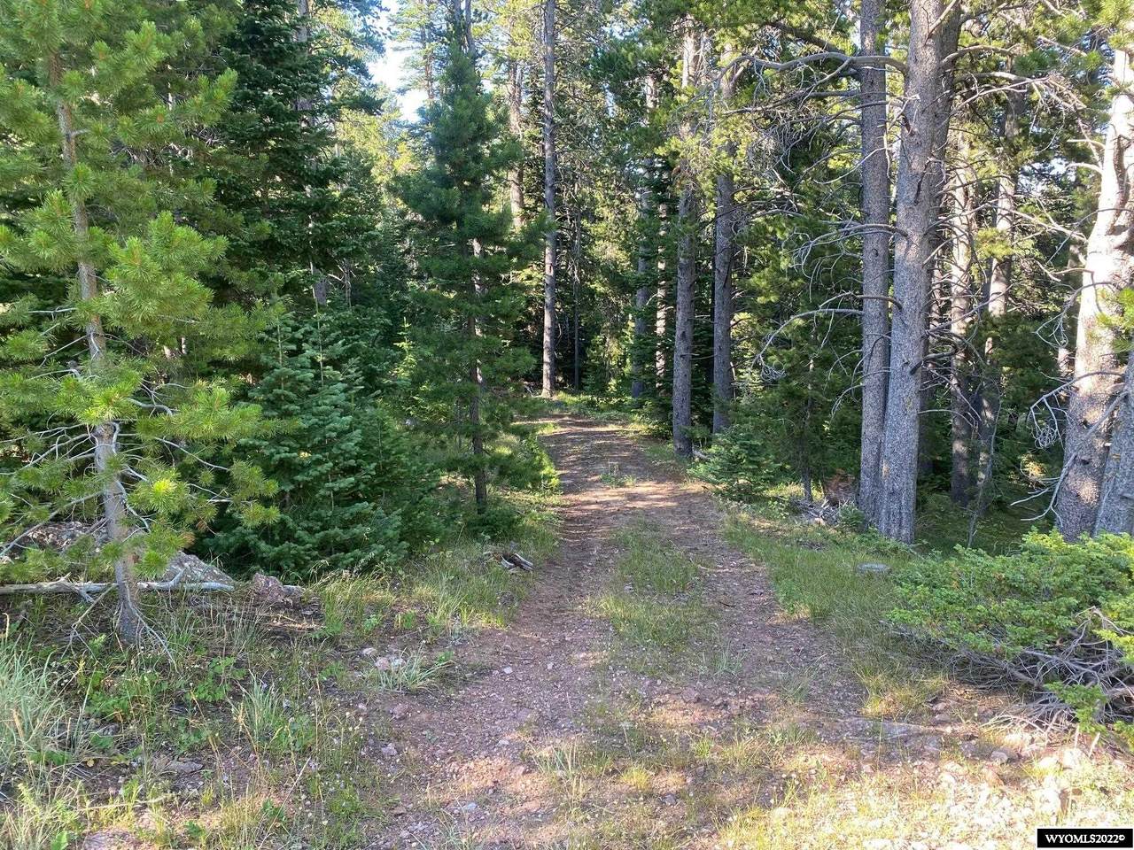 4035 and 4045 Rigal Road - Photo 1