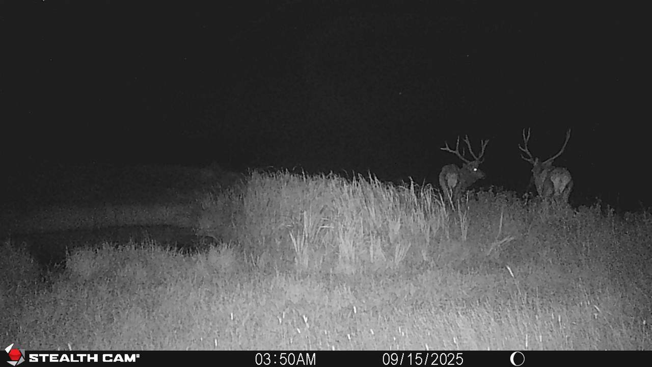 https://bt-photos.global.ssl.fastly.net/wyoming/1280_boomver_1_20245861-2.jpg