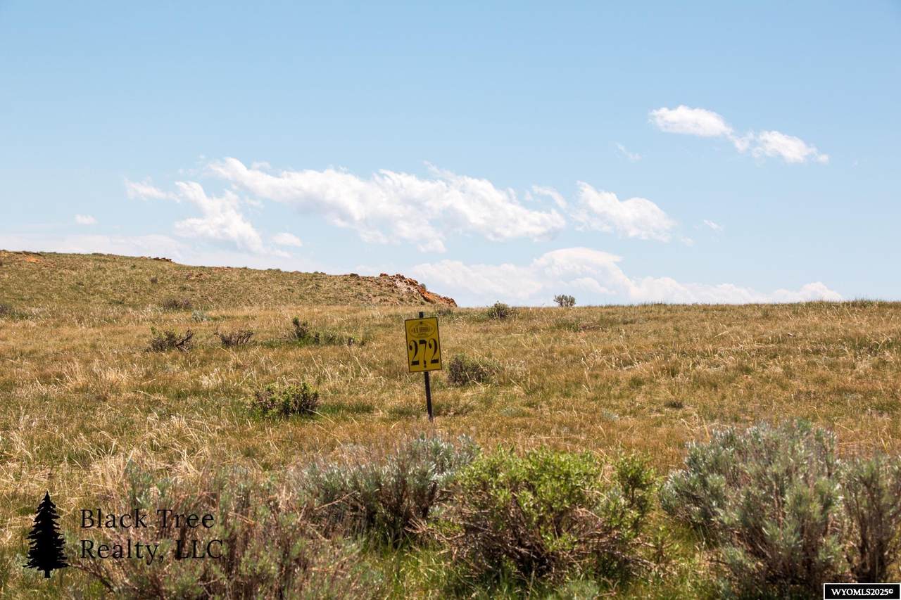 Track 272 Desperado Drive - Photo 1