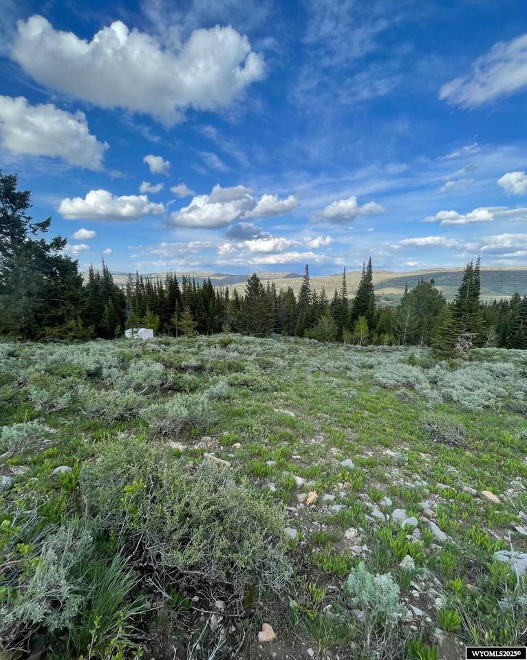 Brown Trout Drive - Photo 1