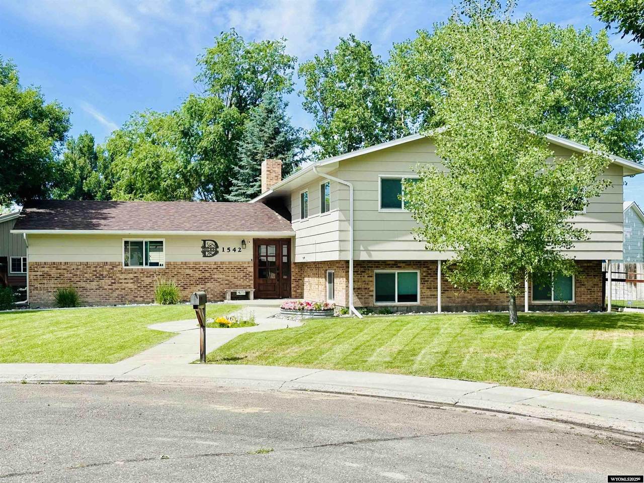 1542 Cloud Peak Drive - Photo 1