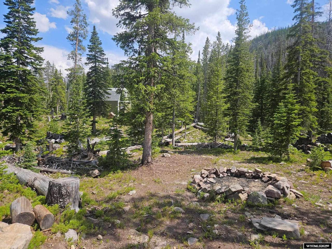 30 Gray Jay Trail - Photo 1