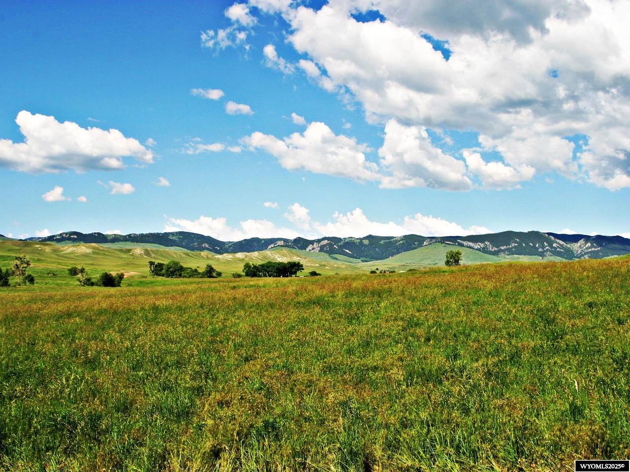 77 Sand Creek Ranch Road - Photo 1