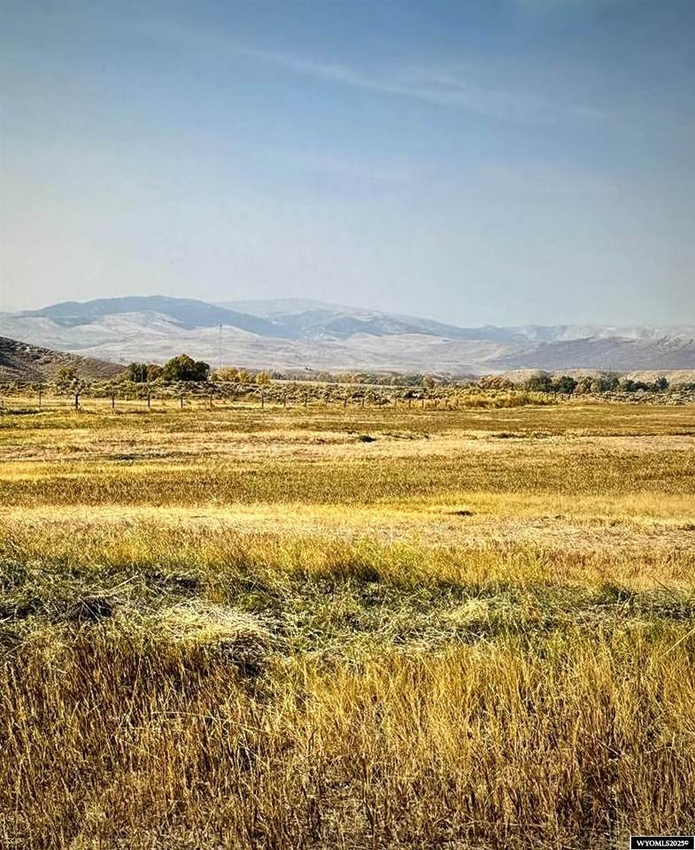  Burris Road - Photo 1