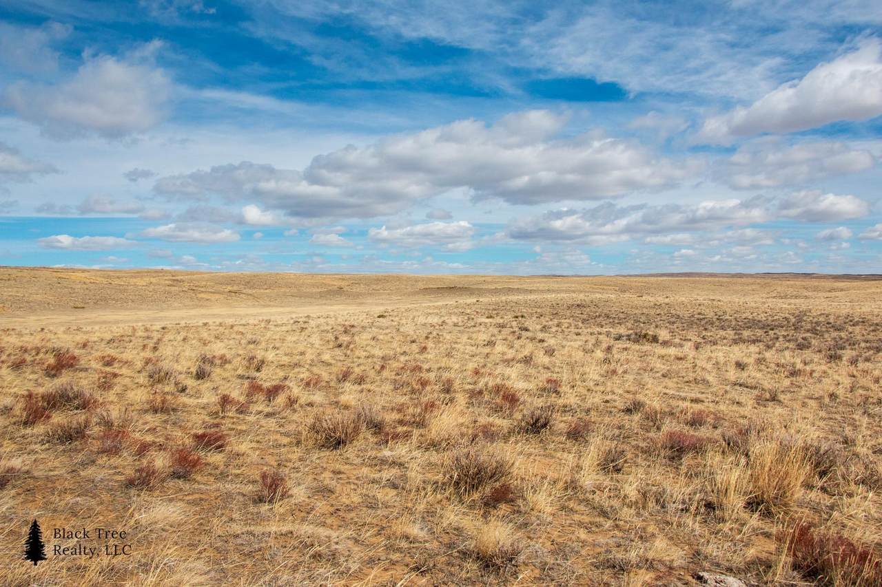 https://bt-photos.global.ssl.fastly.net/wyoming/1280_boomver_1_20260013-2.jpg