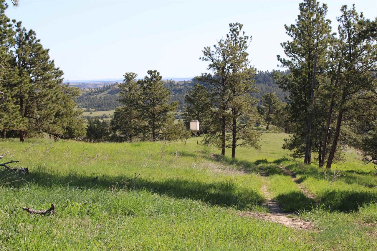 100 Mule Creek Road - Photo 1