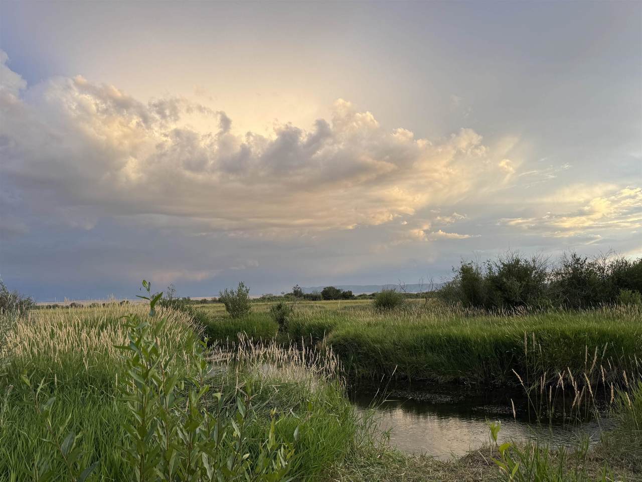 https://bt-photos.global.ssl.fastly.net/wyoming/1280_boomver_1_20260340-2.jpg