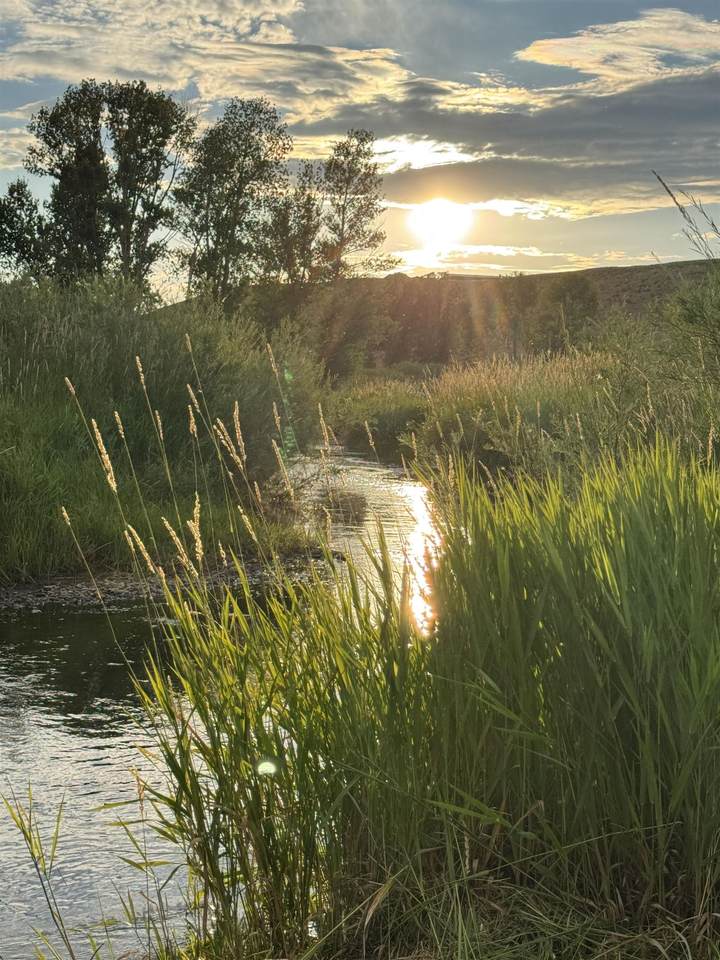 https://bt-photos.global.ssl.fastly.net/wyoming/1280_boomver_1_20260340-2.jpg