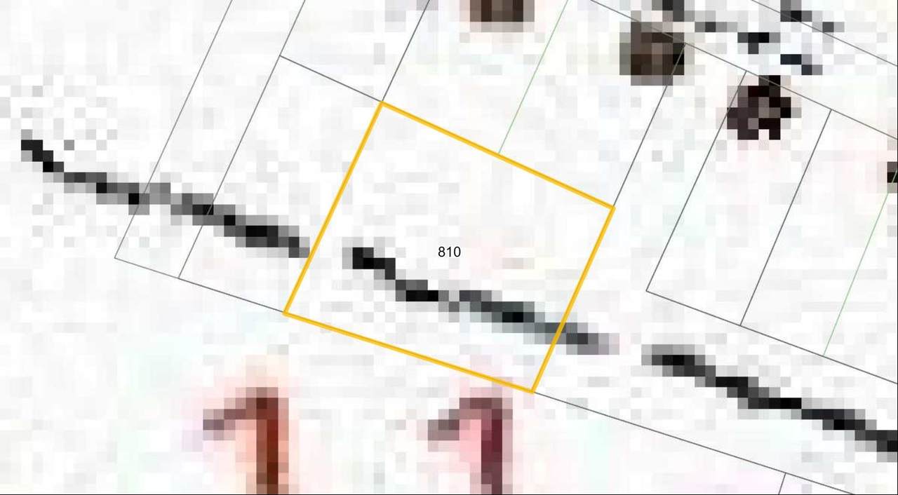 810 Primrose Avenue - Photo 1