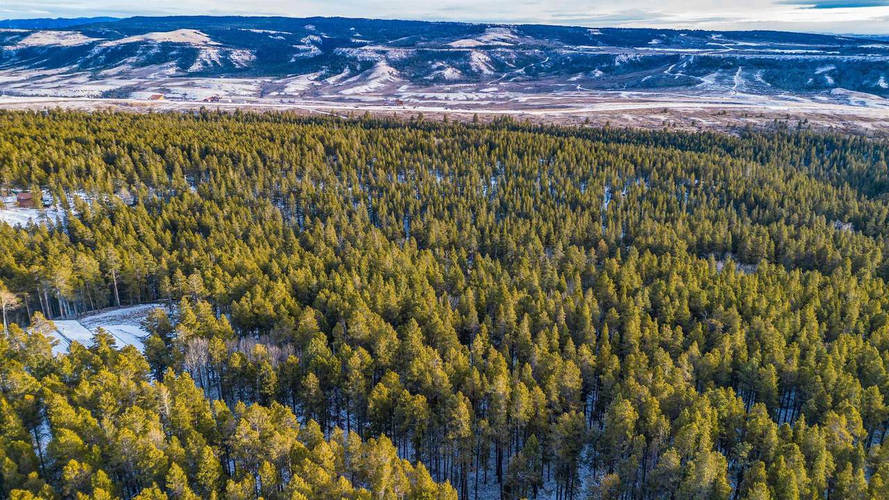 299 Cliff Road - Photo 1