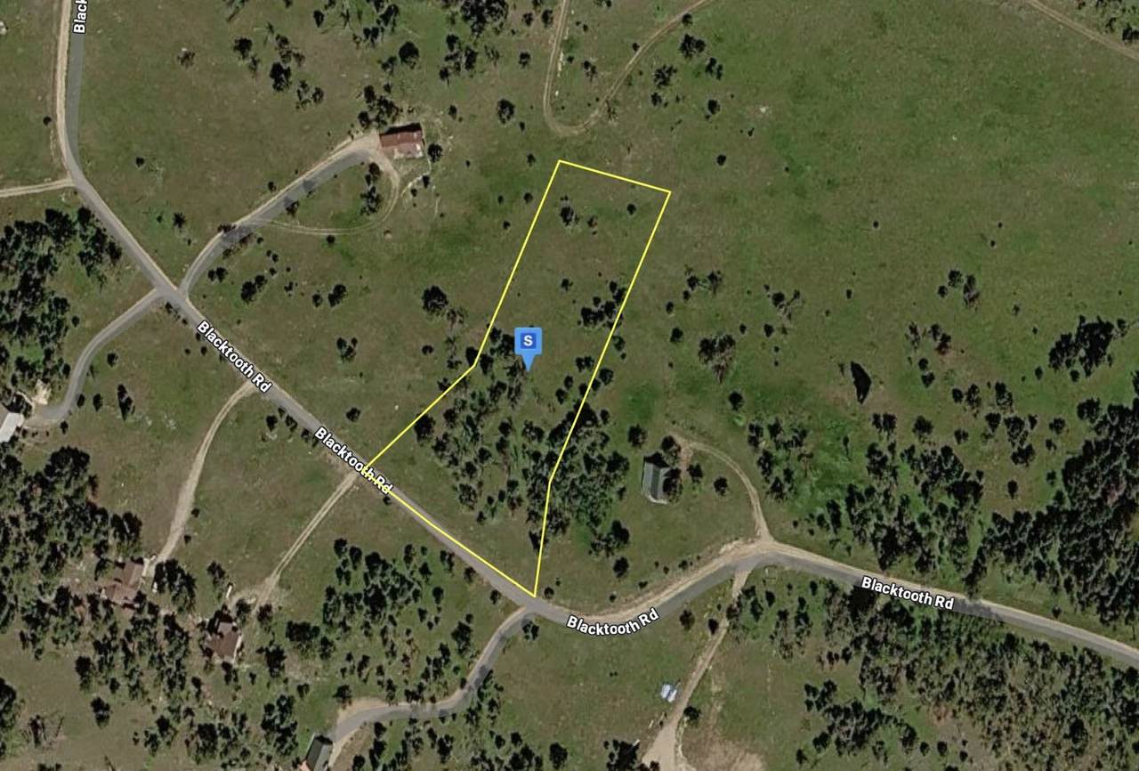 65 Blacktooth Road - Photo 1