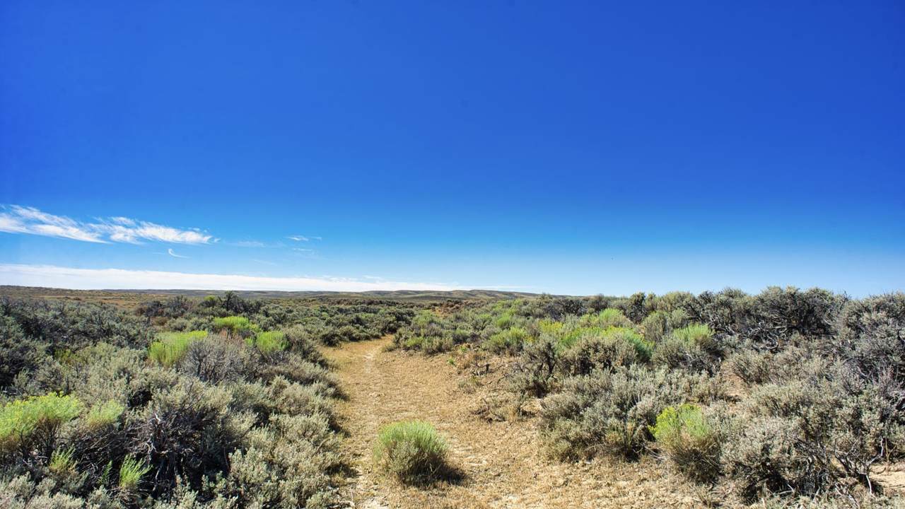 0 Blm Road 2303 - Photo 1