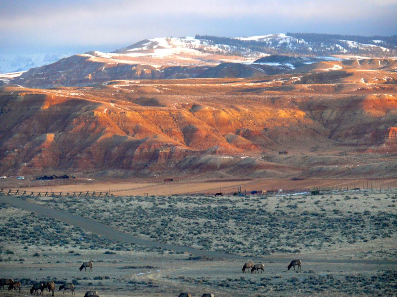 Lot 4 Flying Frog Lane - Photo 1