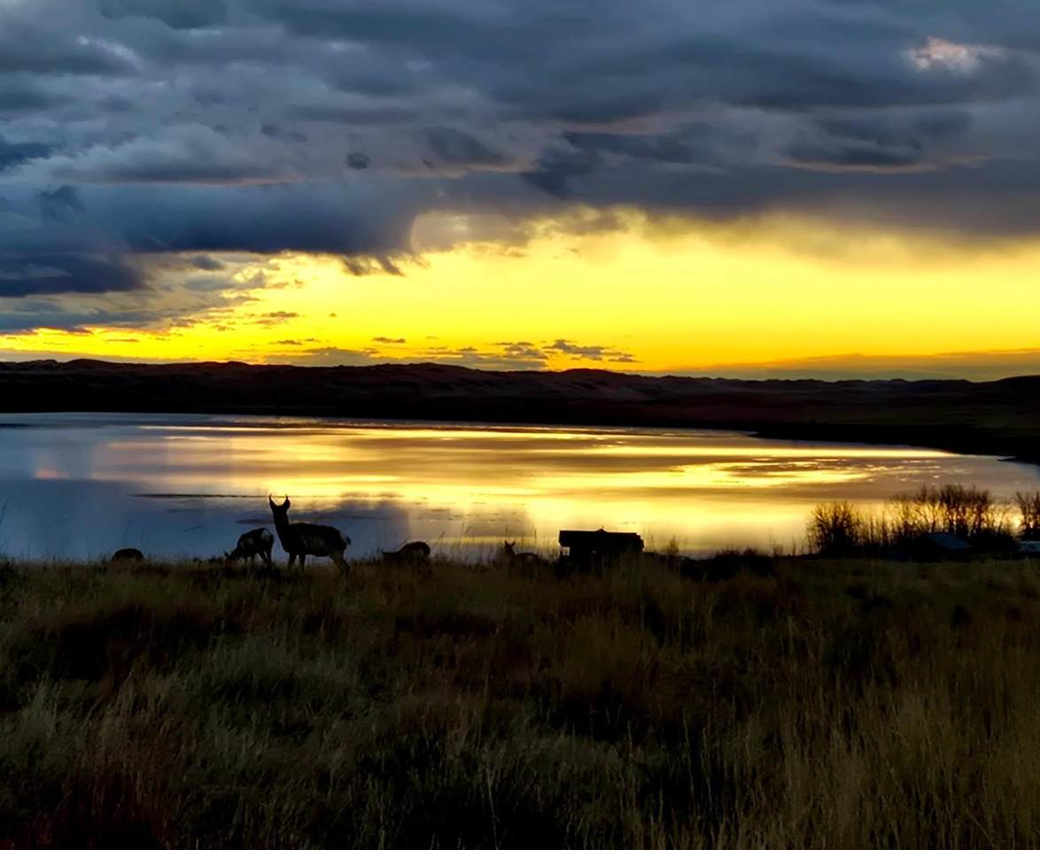 Lot 68 Shoreline Drive - Photo 1