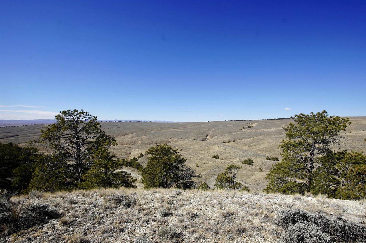 6500 Spike Road - Photo 1