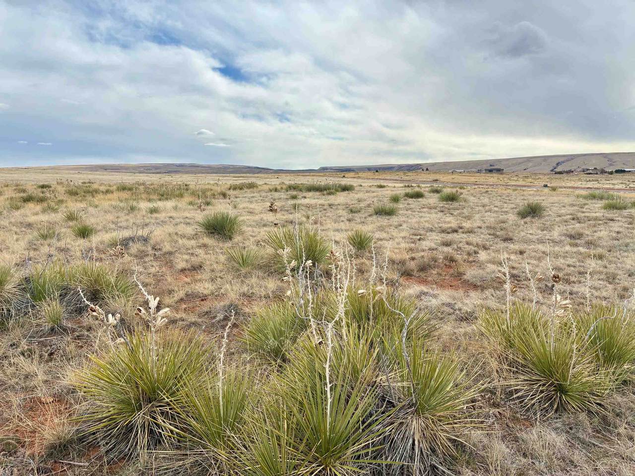 Lot 30 Red Rim Ranch - Photo 1