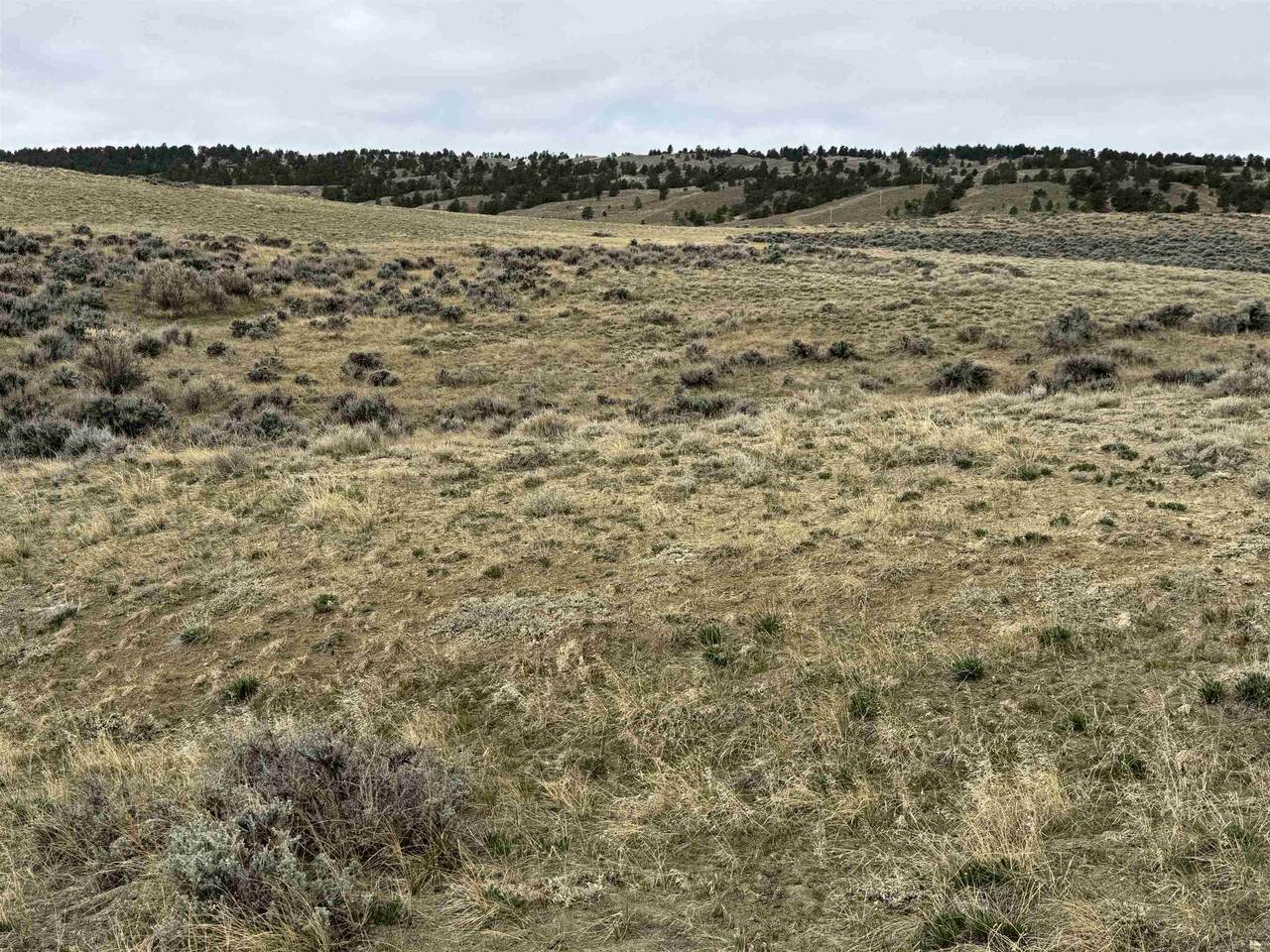 6872 Ranger Road - Photo 1