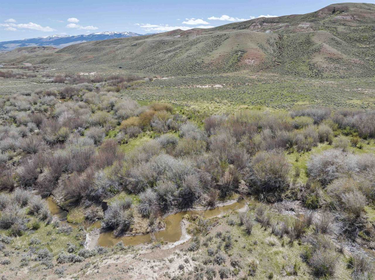 Lot 3 Horse Creek Road - Photo 1