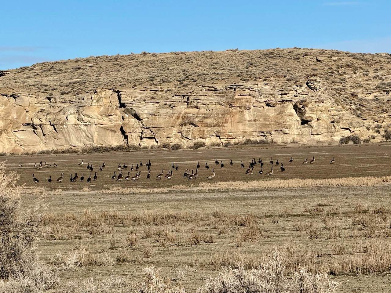 https://bt-photos.global.ssl.fastly.net/wyoming/1280_boomver_1_20261435-2.jpg