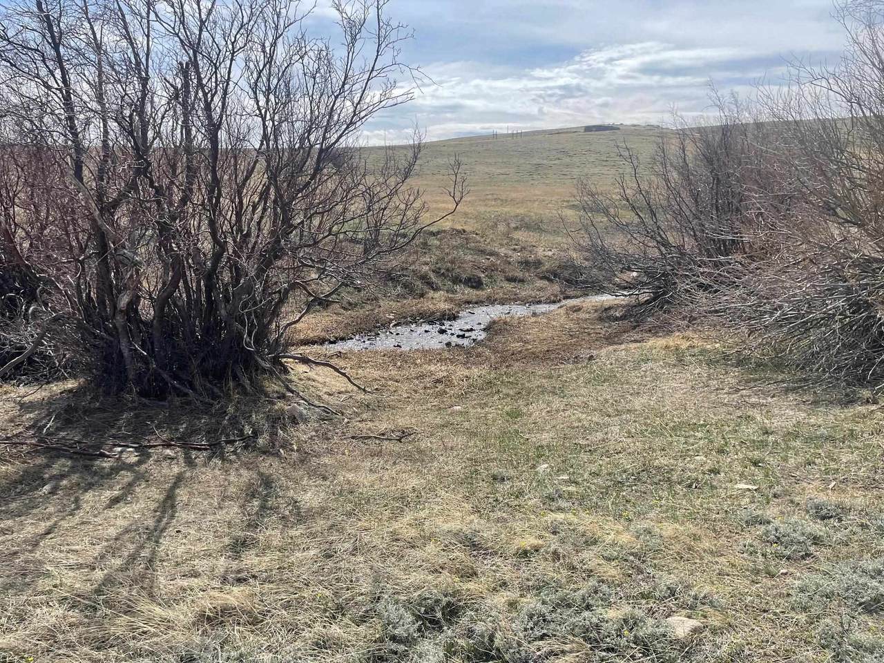 https://bt-photos.global.ssl.fastly.net/wyoming/1280_boomver_1_20261524-2.jpg
