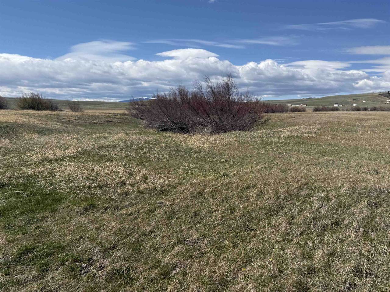 https://bt-photos.global.ssl.fastly.net/wyoming/1280_boomver_1_20261711-2.jpg