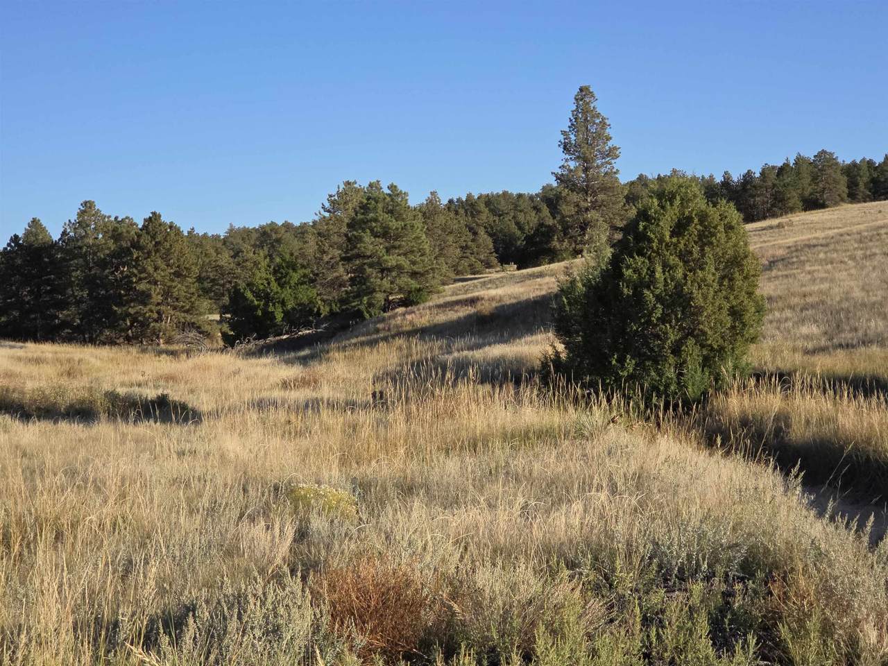 https://bt-photos.global.ssl.fastly.net/wyoming/1280_boomver_1_20261739-2.jpg