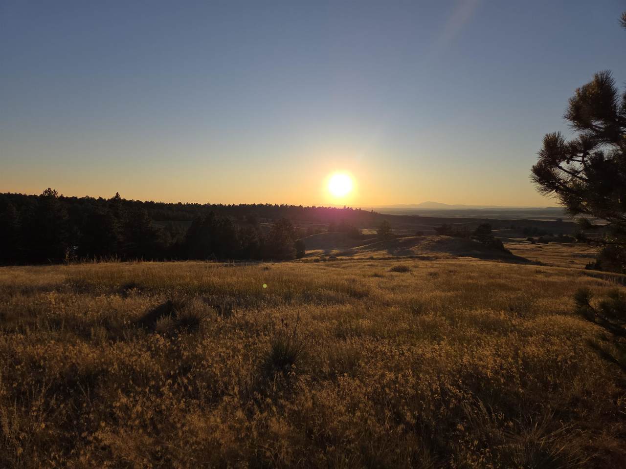 https://bt-photos.global.ssl.fastly.net/wyoming/1280_boomver_1_20261739-2.jpg