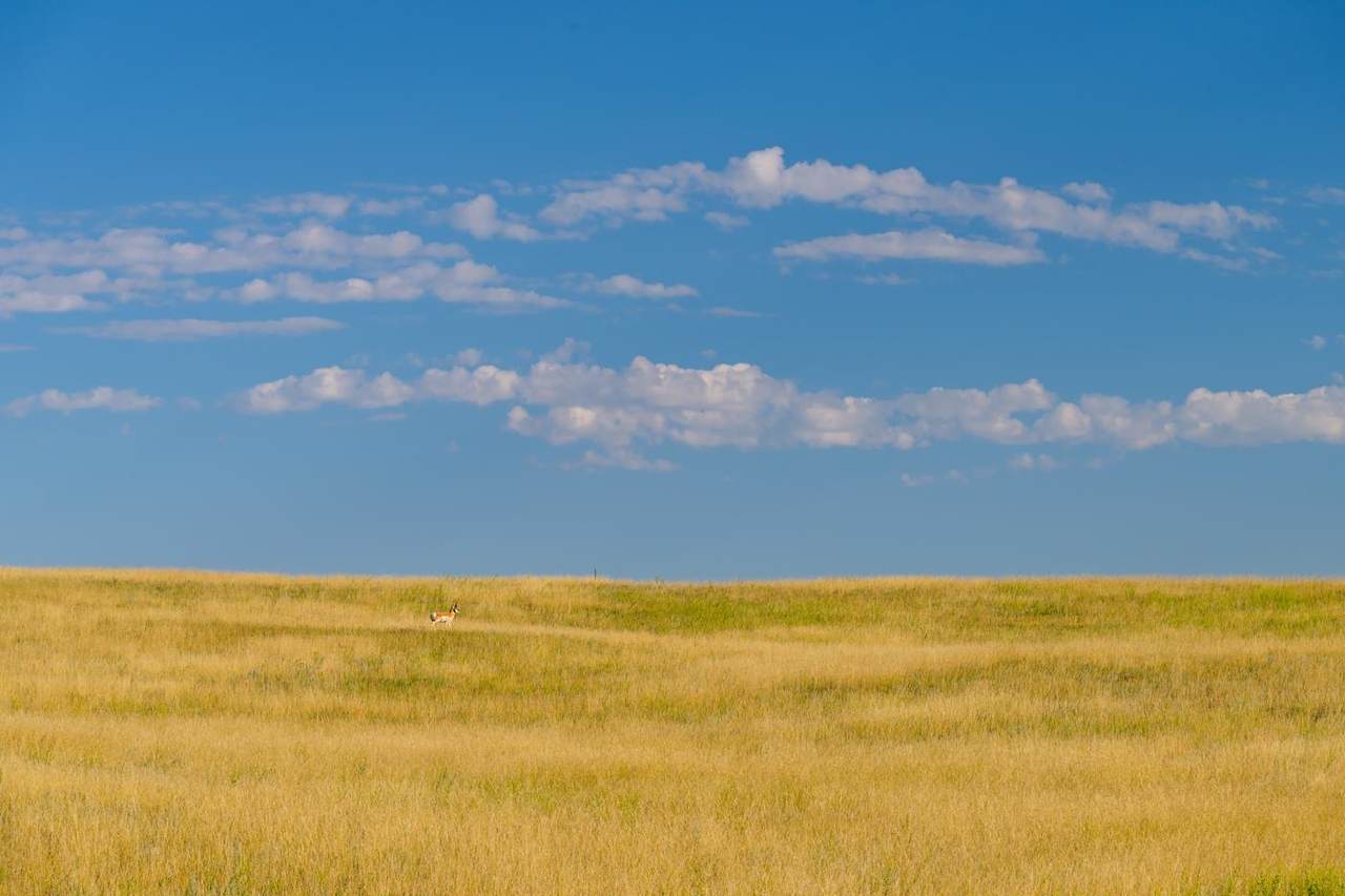 https://bt-photos.global.ssl.fastly.net/wyoming/1280_boomver_1_20261768-2.jpg