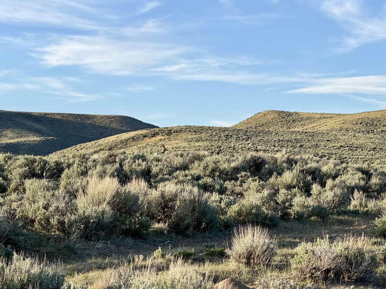 https://bt-photos.global.ssl.fastly.net/wyoming/1280_boomver_1_20261778-2.jpg