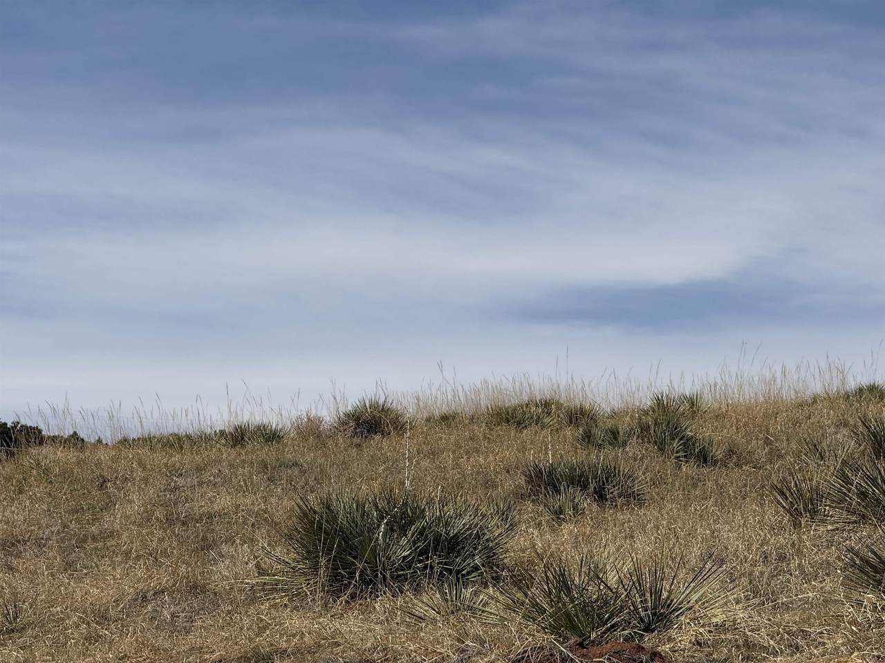https://bt-photos.global.ssl.fastly.net/wyoming/1280_boomver_1_20261832-2.jpg