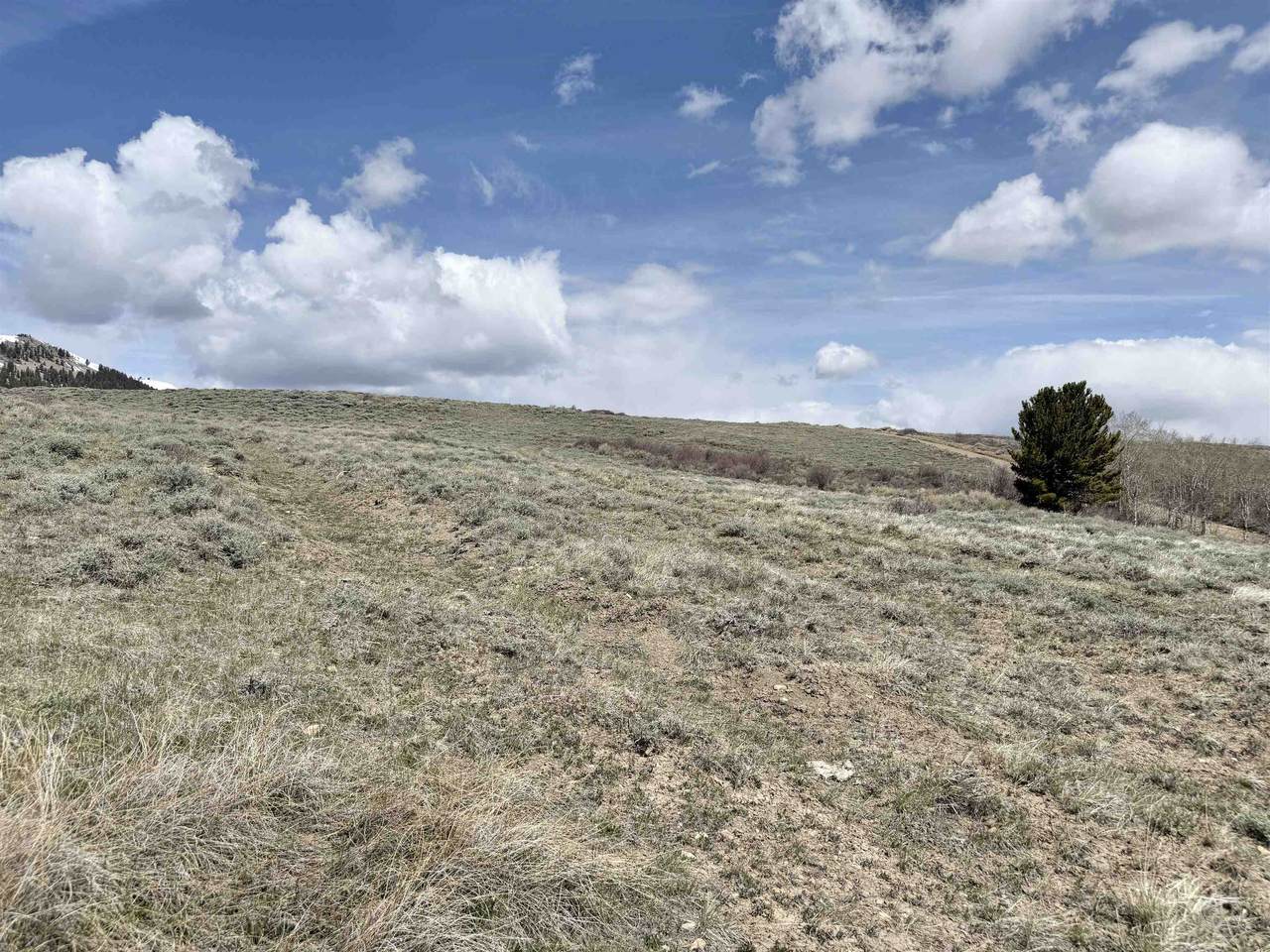 https://bt-photos.global.ssl.fastly.net/wyoming/1280_boomver_1_20261996-2.jpg