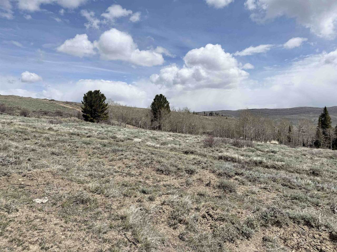 https://bt-photos.global.ssl.fastly.net/wyoming/1280_boomver_1_20261996-2.jpg