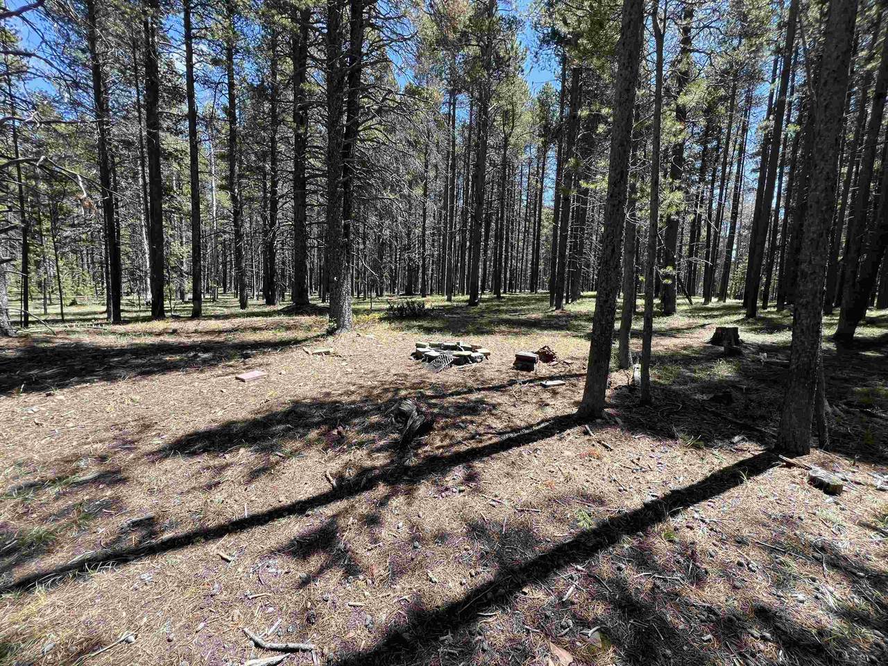 https://bt-photos.global.ssl.fastly.net/wyoming/1280_boomver_1_20262212-2.jpg