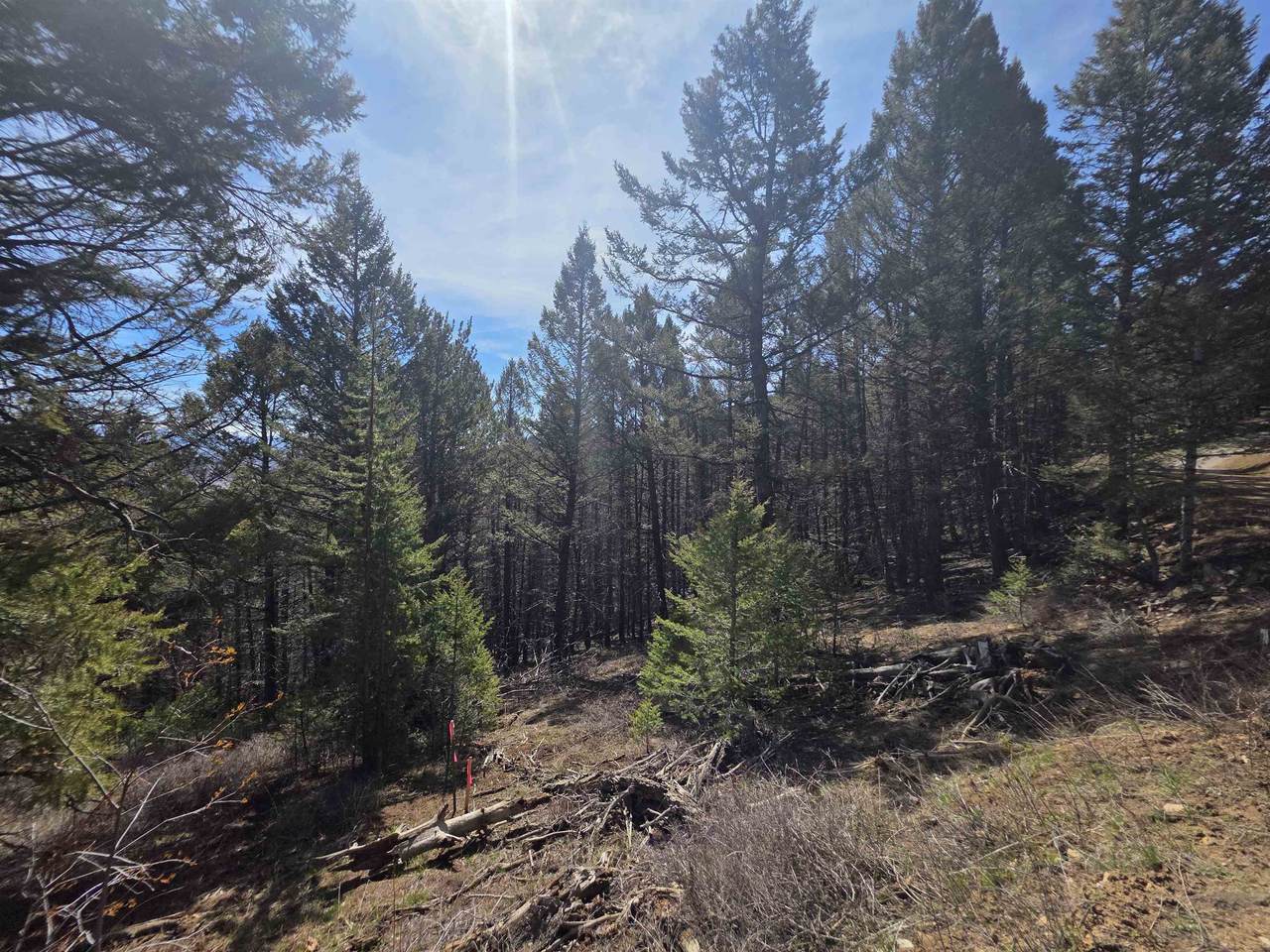 https://bt-photos.global.ssl.fastly.net/wyoming/1280_boomver_1_20262228-2.jpg