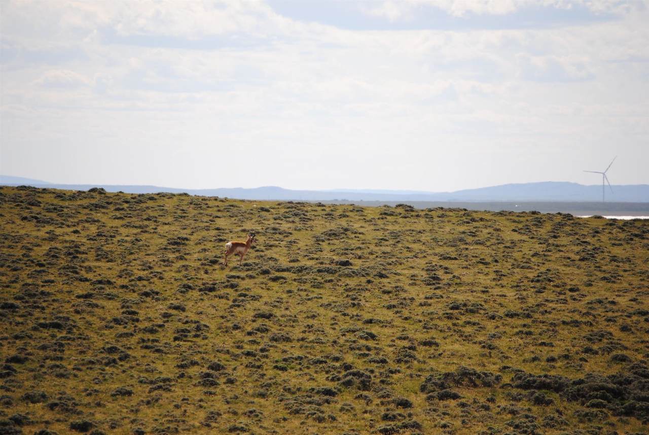 https://bt-photos.global.ssl.fastly.net/wyoming/1280_boomver_1_20262306-2.jpg