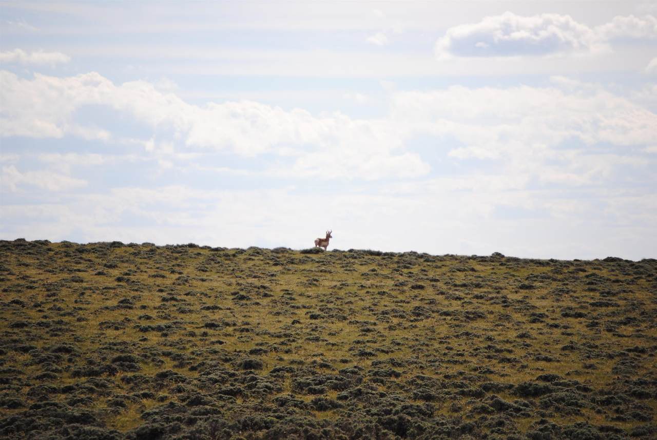 https://bt-photos.global.ssl.fastly.net/wyoming/1280_boomver_1_20262306-2.jpg