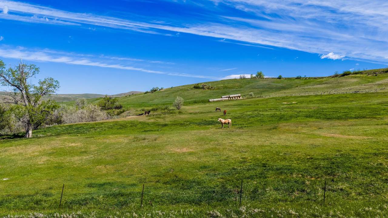 https://bt-photos.global.ssl.fastly.net/wyoming/1280_boomver_1_20262362-2.jpg