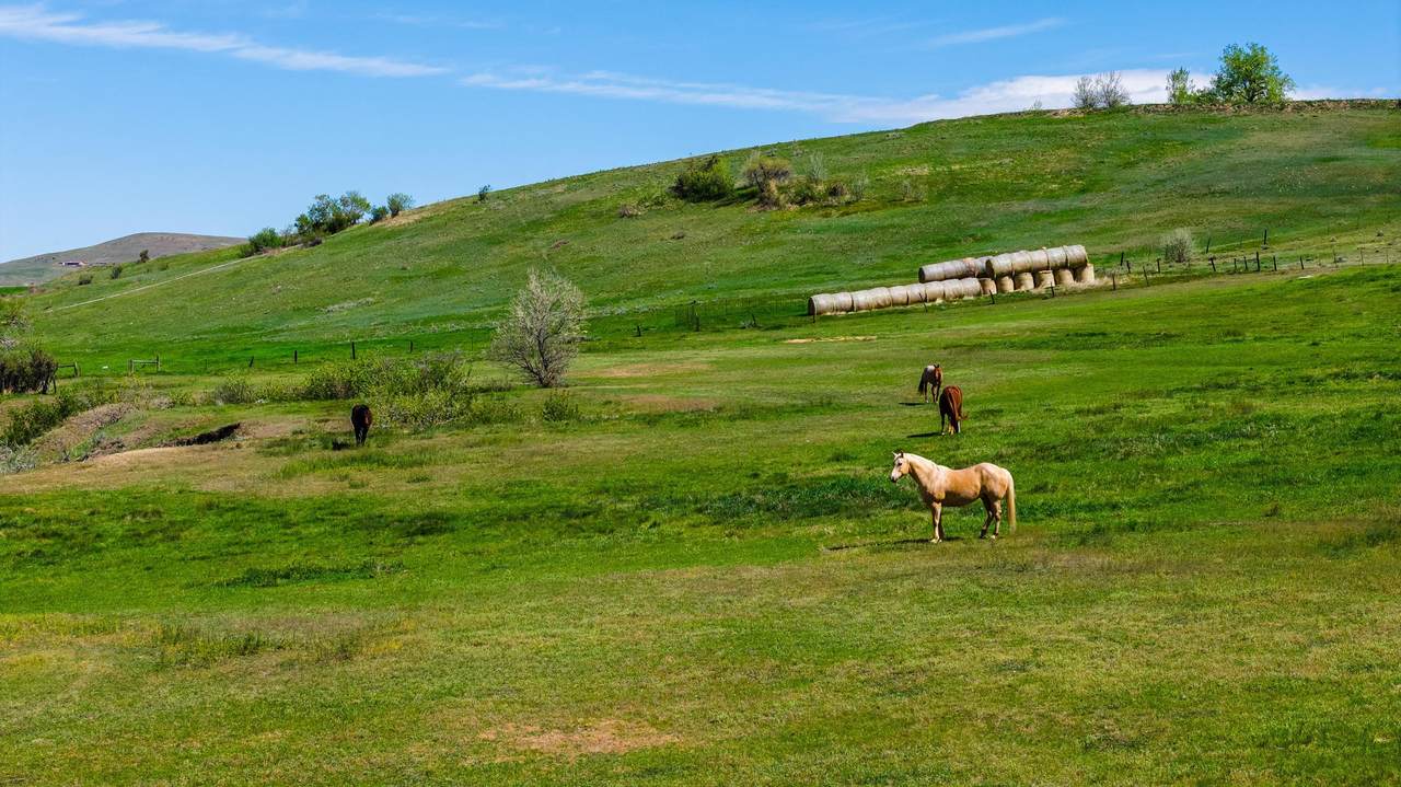 https://bt-photos.global.ssl.fastly.net/wyoming/1280_boomver_1_20262362-2.jpg