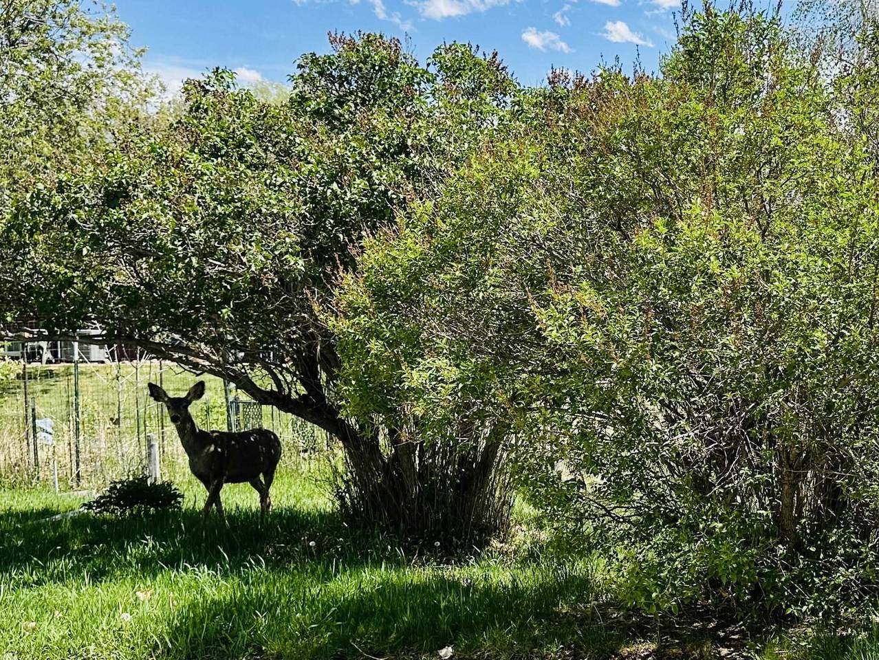 https://bt-photos.global.ssl.fastly.net/wyoming/1280_boomver_1_20262424-2.jpg