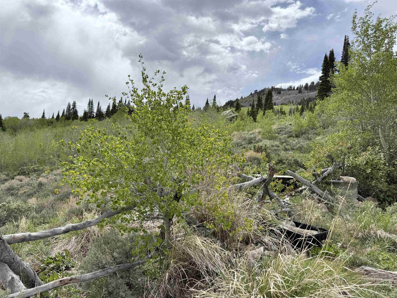 https://bt-photos.global.ssl.fastly.net/wyoming/1280_boomver_1_20262608-2.jpg