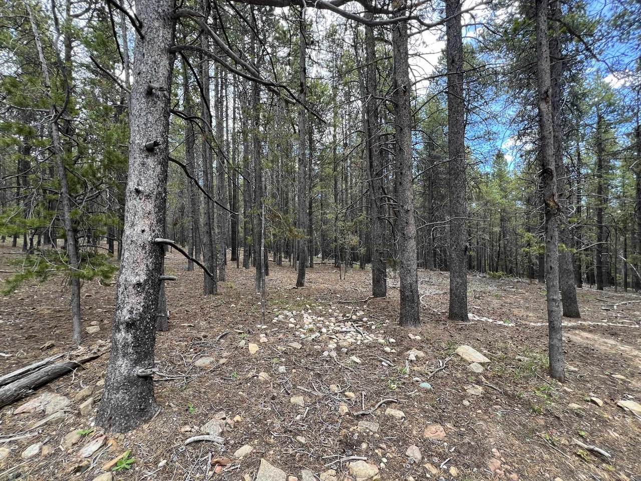 https://bt-photos.global.ssl.fastly.net/wyoming/1280_boomver_1_20262672-2.jpg