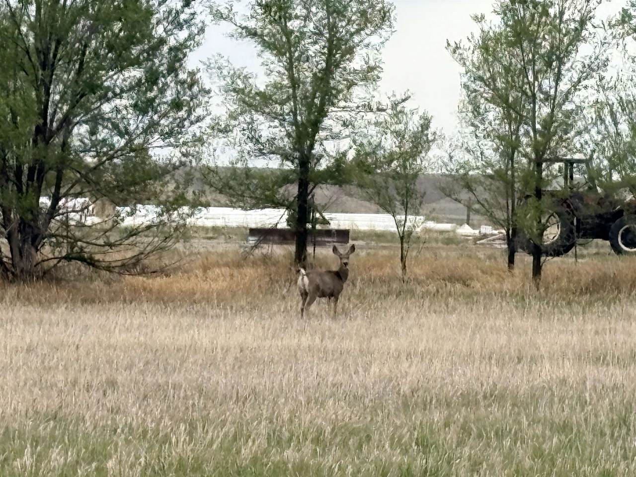 https://bt-photos.global.ssl.fastly.net/wyoming/1280_boomver_1_20262832-2.jpg
