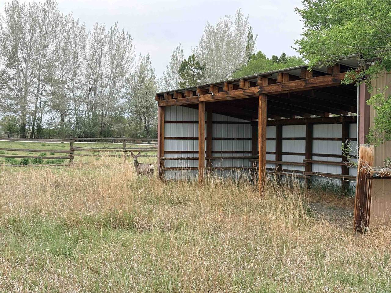 https://bt-photos.global.ssl.fastly.net/wyoming/1280_boomver_1_20262832-2.jpg