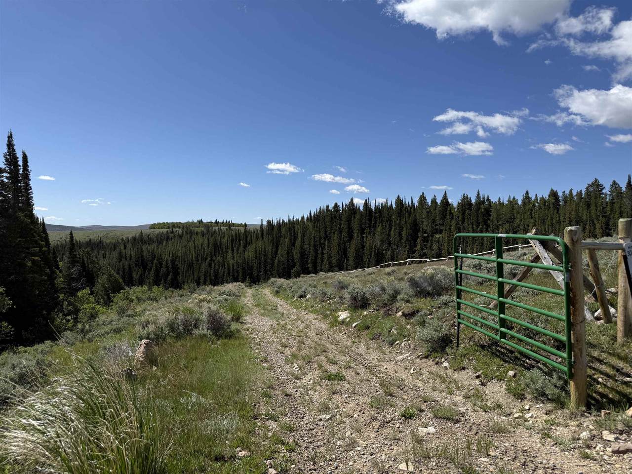 https://bt-photos.global.ssl.fastly.net/wyoming/1280_boomver_1_20262859-2.jpg